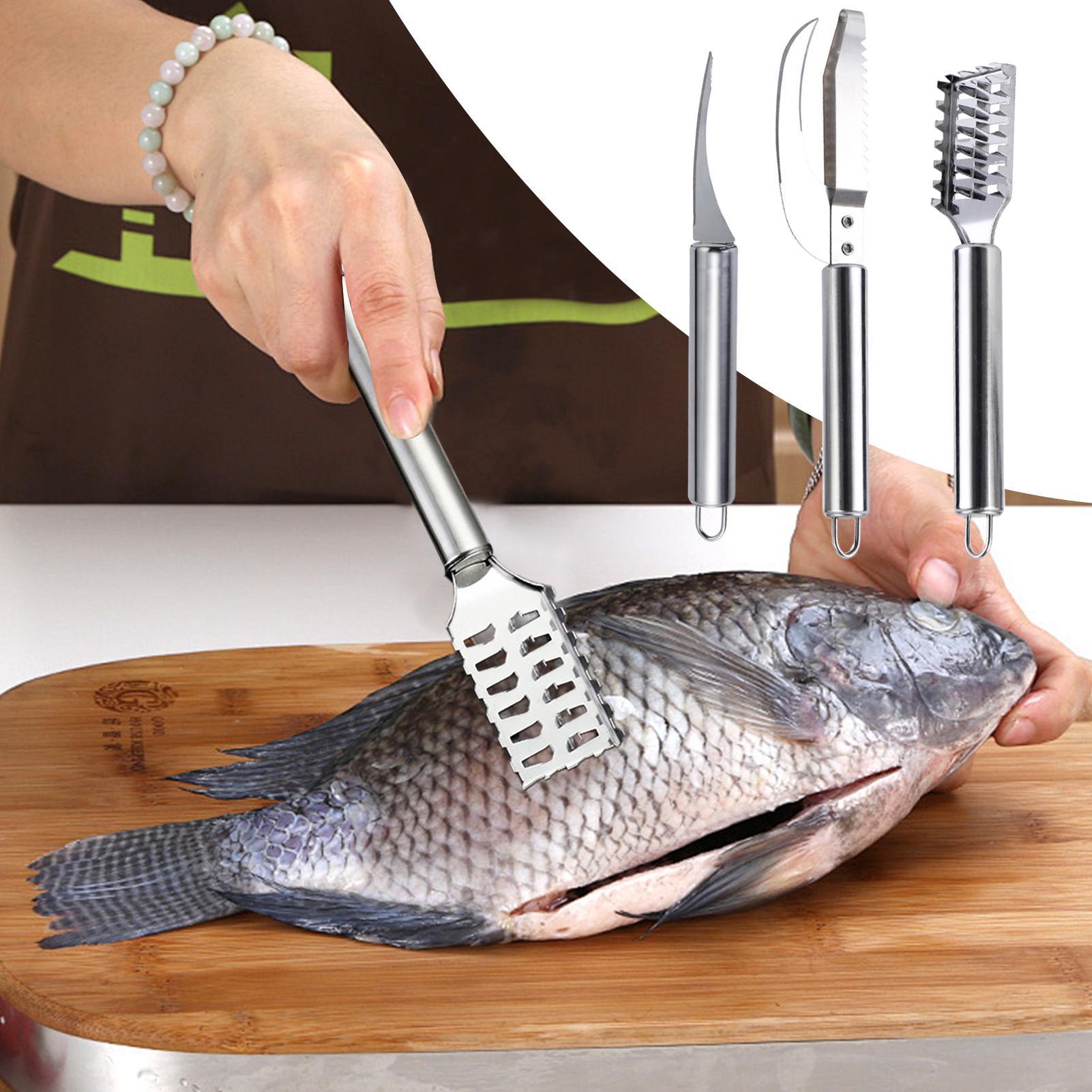 سكين إزالة قشور السمك، أداة تن - مراجعة Kitchen Gadget Amazon وسعره