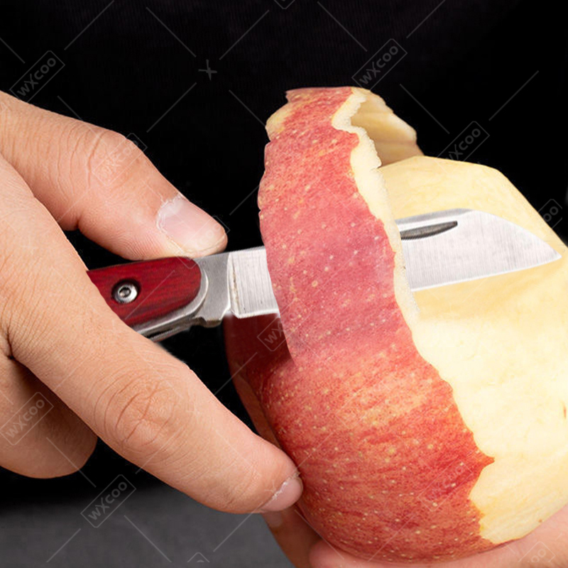 سكين جيب من الفولاذ المقاوم لل - مراجعة Kitchen Gadgets Sale وسعره
