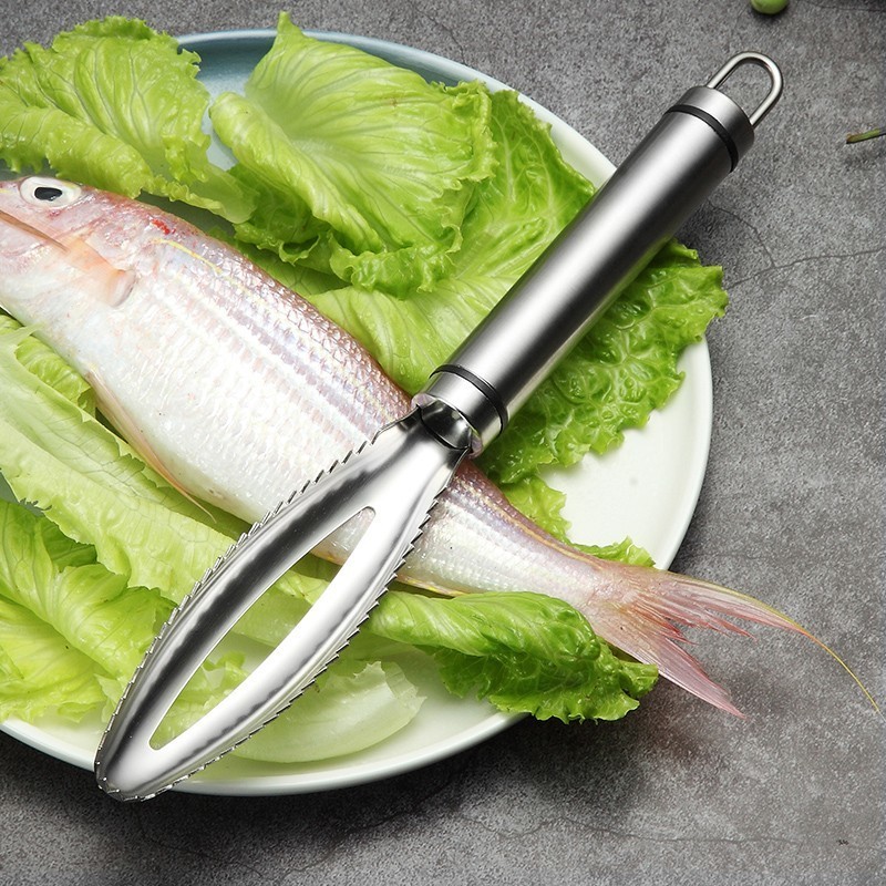 موازين السمك غير القابل للصدأ  - مراجعة Kitchen Gadget Amazon وسعره