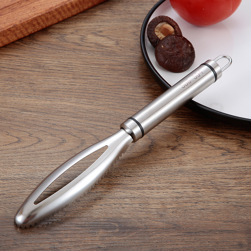 موازين السمك غير القابل للصدأ  - مراجعة Kitchen Gadget Amazon وسعره